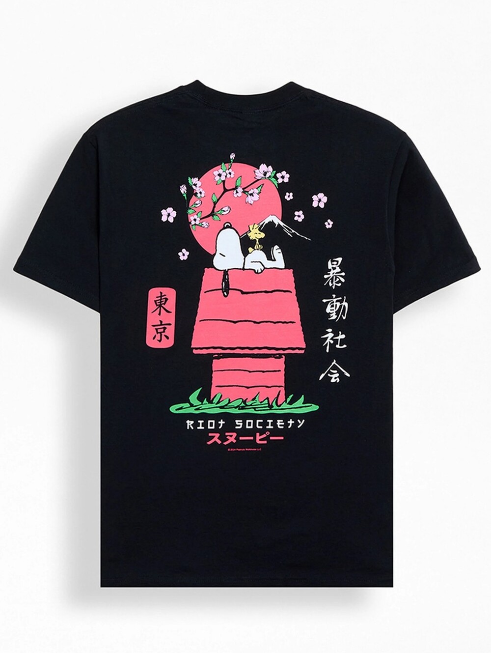 Riot Society Peanut Pagoda Men's Tee. Large